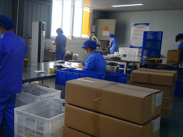 哪里有膏藥加工廠？膏藥貼牌廠家哪家好？